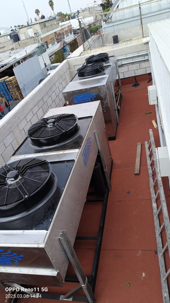 12_WhatsApp Image 2025-10-02 at 11.26.57 AM