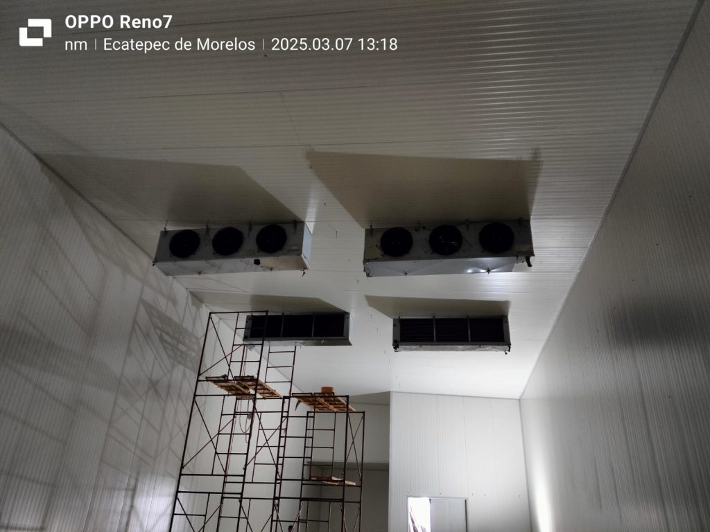 12_WhatsApp Image 2025-10-02 at 11.26.58 AM