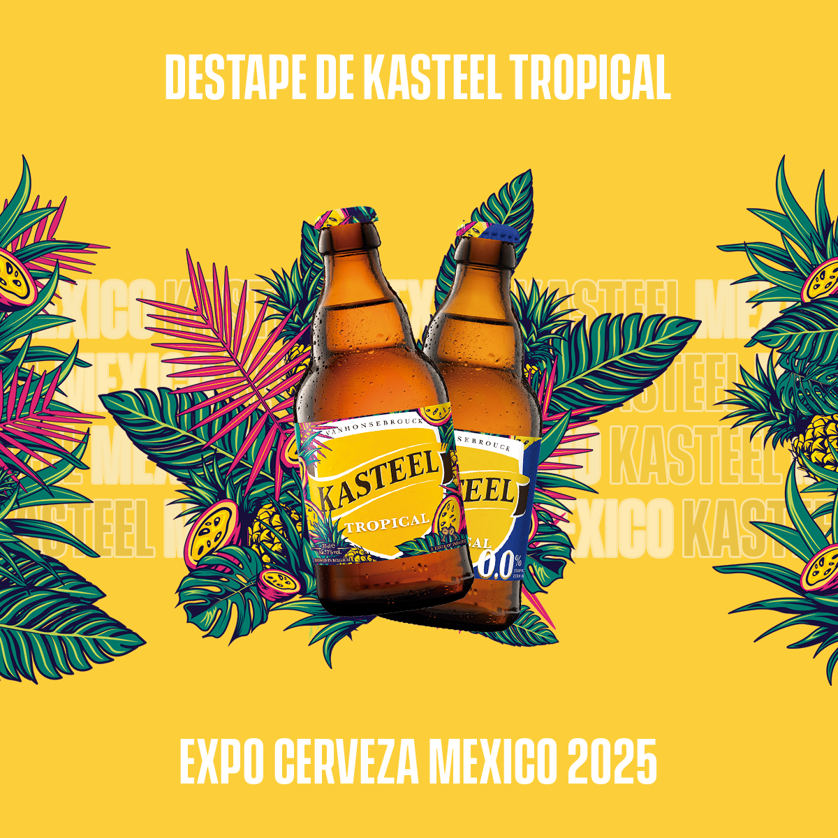 15_Kasteel Tropical