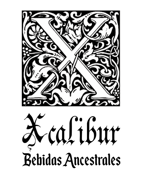 33_logo xcalibur PNG