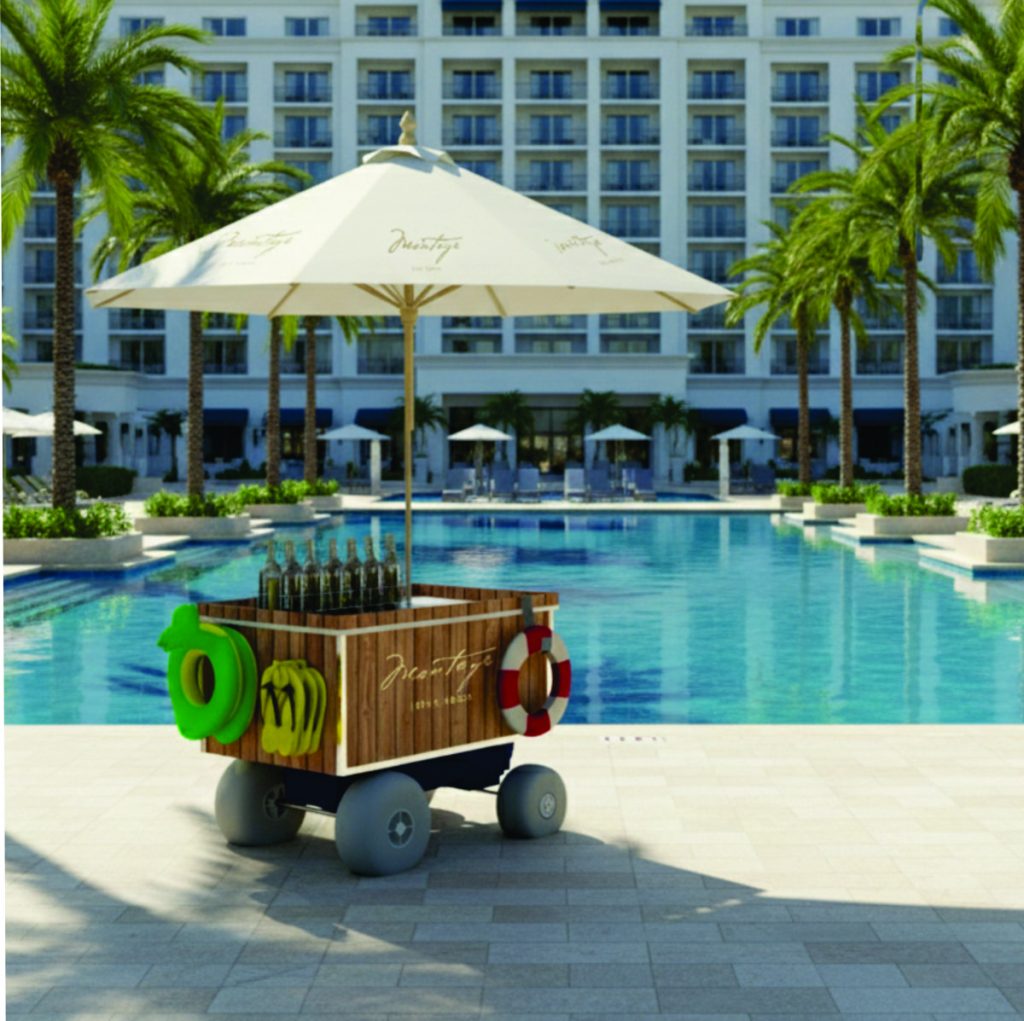 47_REMOLCA TU EMPRESA PUSH CART 3