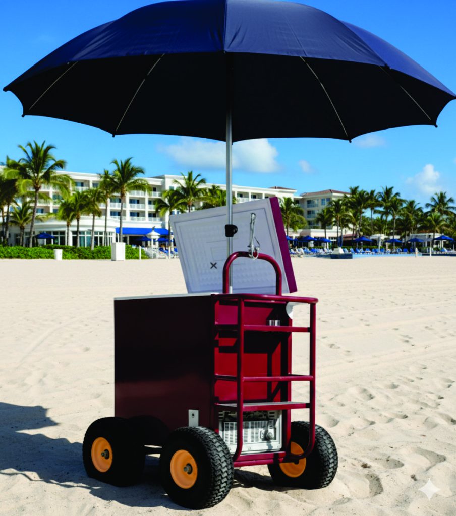 47_REMOLCA TU EMPRESA PUSH CART 5