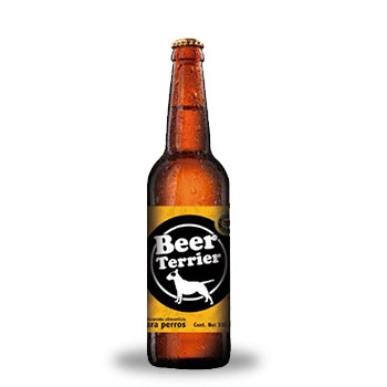 50_beer-terrier-nueva