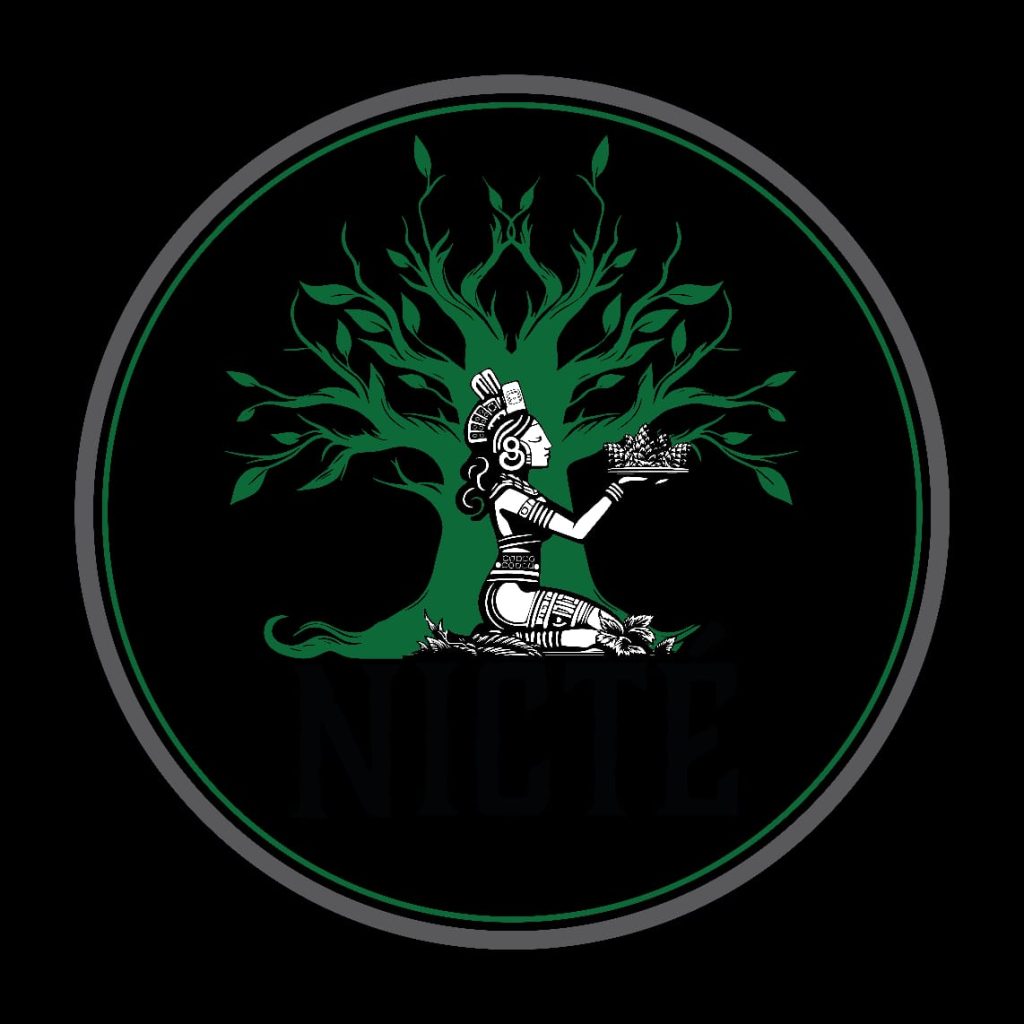 68eecc7be3452NICTÉ LOGO