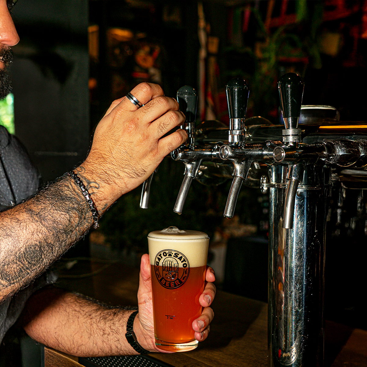 Galeria_CERVEZA_GATO_SATO_6
