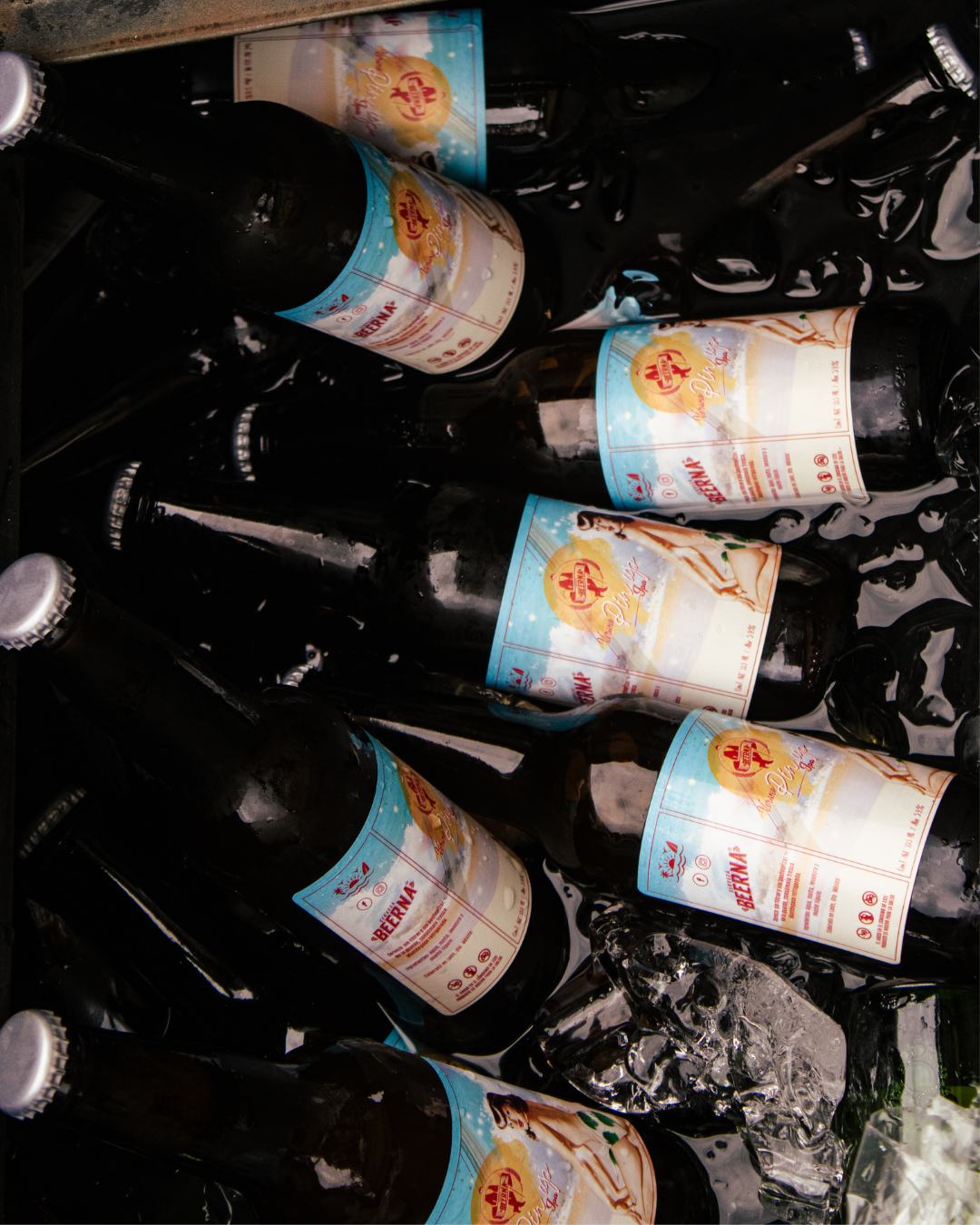 Galeria_CERVEZA_BEERNA_6