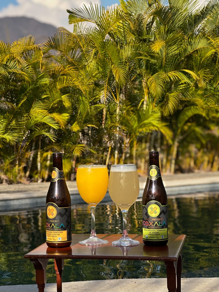 Galeria_CERVEZA_COXALA_GINGER_BEER_5