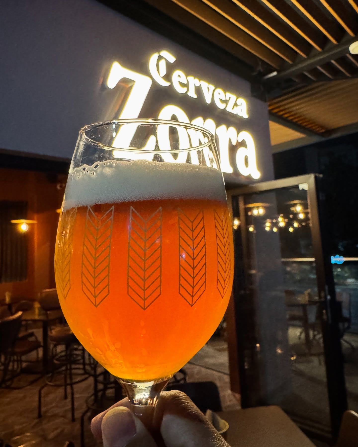 Galeria_CERVEZA_ZORRA_2