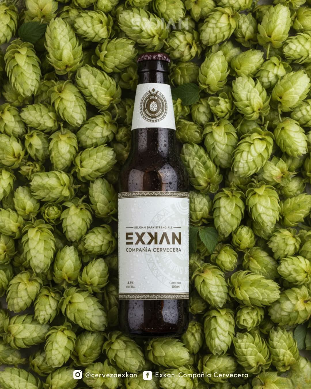 Galeria_CERVECERIA_EXKAN_4