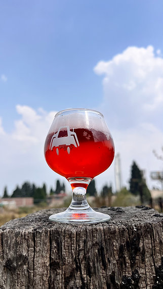 Galeria_INTERSTELLAR_BREWERY_5