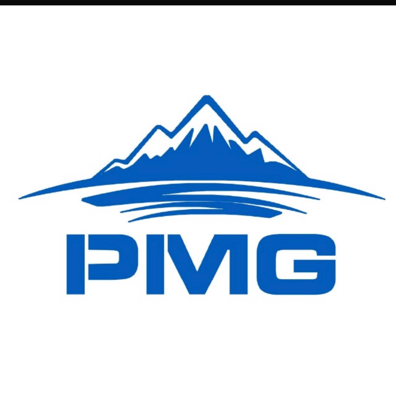 Logo_FYTISA___PMG